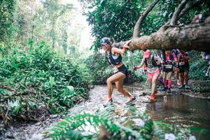 BIB: 
                            <button type="button" onclick="openModal(25453946)" class="btn btn-primary btn-sm float-right btn-popup" data-toggle="modal" data-target=".modal-high-quality">
                        <i class="fas fa-shopping-cart"></i> Add to Cart
                    </button>
                                            <button type="button" onclick="isThisMe(25453946, true)" class="btn btn-success btn-sm float-right btn-popup btn-isme hidden" data-toggle="tooltip" data-placement="bottom" title="นี่คือรูปของคุณใช่ไหม คลิกที่นี่เพื่อเอาเข้าอัลบั้ม">
                        <i class="fas fa-plus"></i> Add to album
                    </button>
                    <button type="button" onclick="isThisMe(25453946, false)" class="btn btn-warning btn-sm float-right btn-popup btn-isnotme hidden">
                        <i class="fas fa-ban"></i> Remove from album
                    </button>